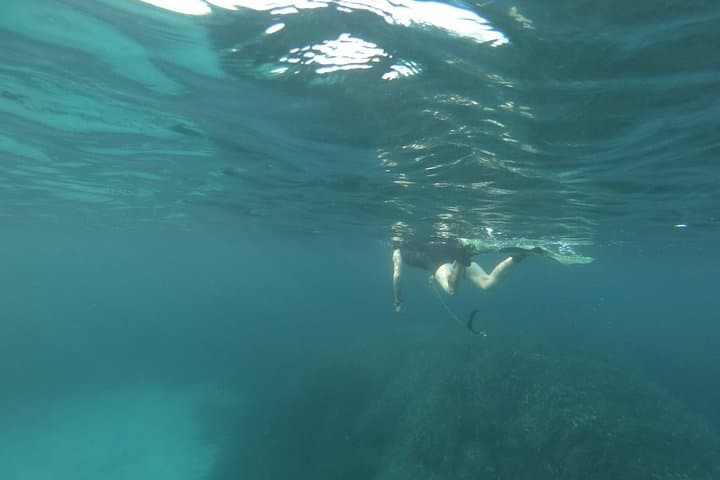 Blue Lagoon & Comino Caves Snorkeling — Guided Morning Tour from Bugibba photo 3