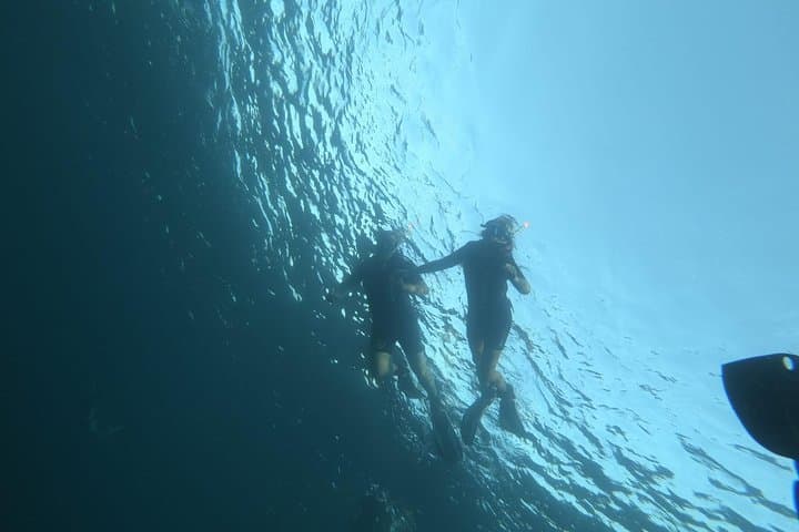 Blue Lagoon & Comino Caves Snorkeling — Guided Morning Tour from Bugibba photo 5
