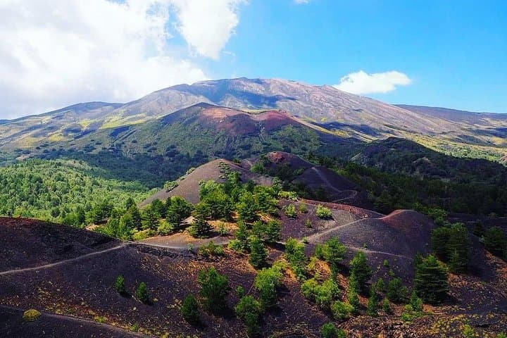 Mount Etna Private Tour: Volcano Walk and Volcanic Wine Tasting photo 5