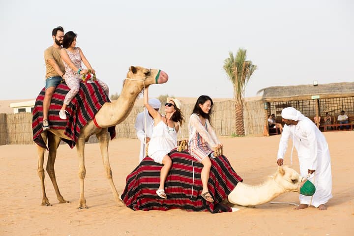 Sunrise Hot Air Balloon Over Dubai Desert — Deluxe Flight with Falconry & Bedouin Breakfast photo 3