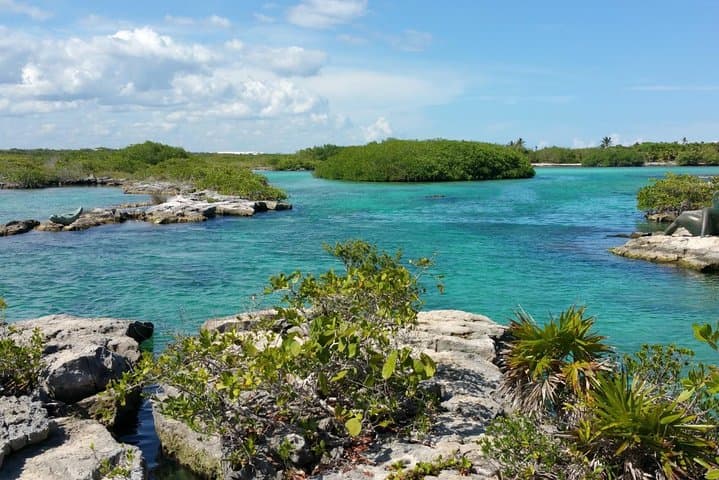 Snorkel Yal-Kú Lagoon and Underground Cenote: Private Akumal Snorkeling Tour photo 3