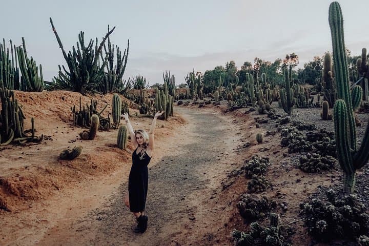 Cactus Country Strathmerton: Explore 4,000+ Cacti & Succulents in Victoria photo 6