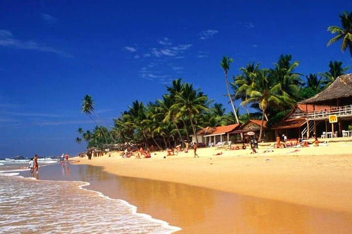 Coastal Galle Day Tour from Colombo: Forts, Turtles & Mangrove Boat Ride photo 3