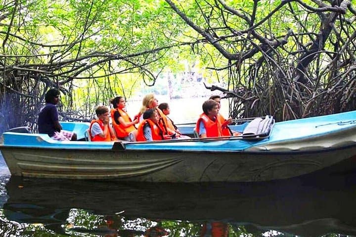 Coastal Galle Day Tour from Colombo: Forts, Turtles & Mangrove Boat Ride photo 4