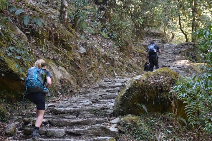 Annapurna Poon Hill Trek: Sunrise Views from Poon Hill and Ghorepani photo 2