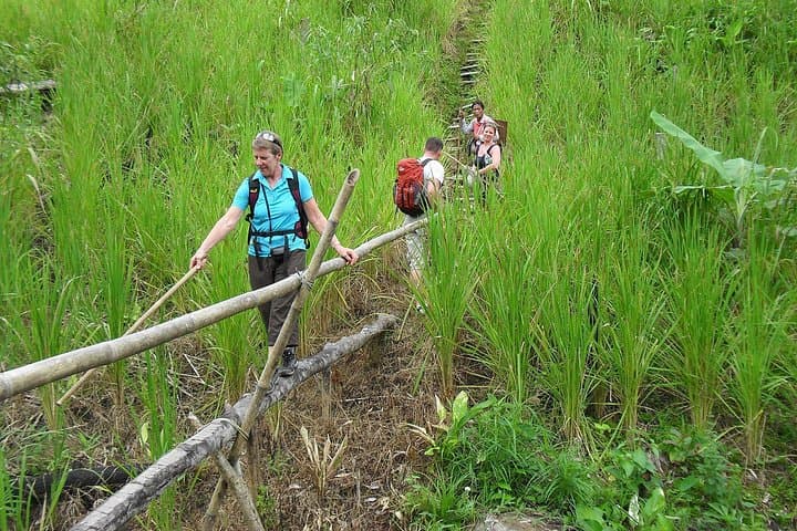 Annah Rais Longhouse Tour: Traditional Bidayuh Bamboo Longhouse from Kuching photo 4