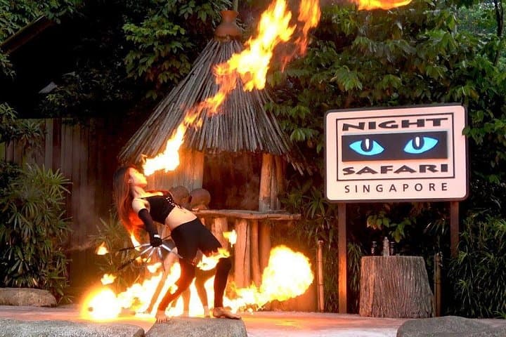 Singapore Zoo and Night Safari Day Tour with Tickets and Transfer photo 1