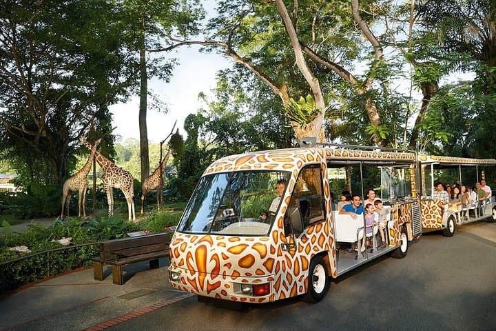 Singapore Zoo & River Wonders Day Ticket and Transfer — Complete Visitor Guide photo 6