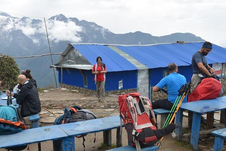 Mardi Himal Base Camp Trek: 7-Day Annapurna Panorama from Pokhara photo 4