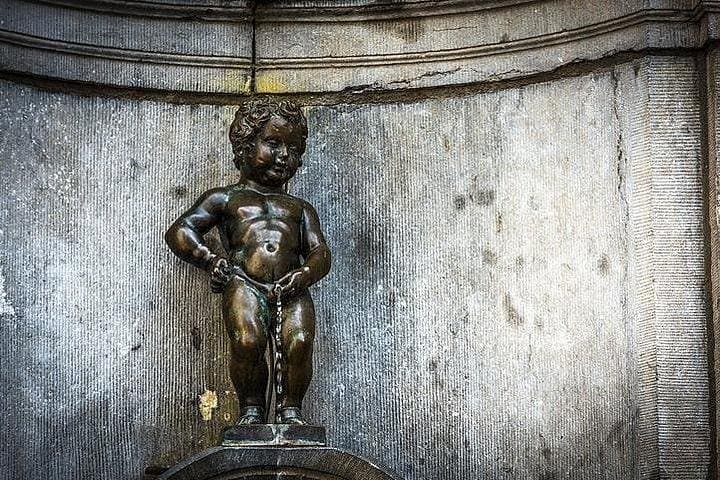 Private Brussels Tour: History, Culture & Top Sights in 4 Hours photo 3