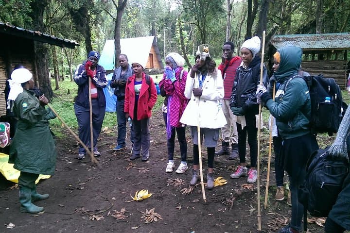 Mount Elgon Expedition: 4-Day Trek to Wagagai, Jackson Pool & Hot Springs photo 4