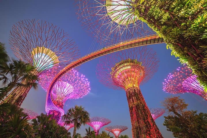 Gardens by the Bay Triple Combo: Cloud Forest, Flower Dome & Supertree Light Show