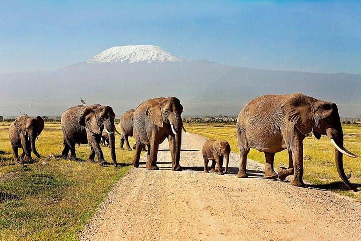 3-Day Amboseli Safari: Kilimanjaro Views & Elephant Herds