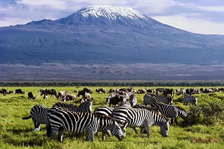 3-Day Amboseli Safari: Kilimanjaro Views & Elephant Herds photo 5