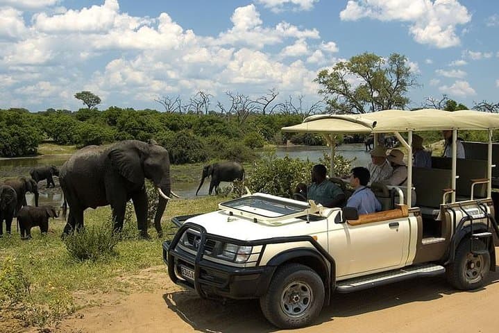 Chobe Day Trip: River Safari and Afternoon Game Drive from Livingstone