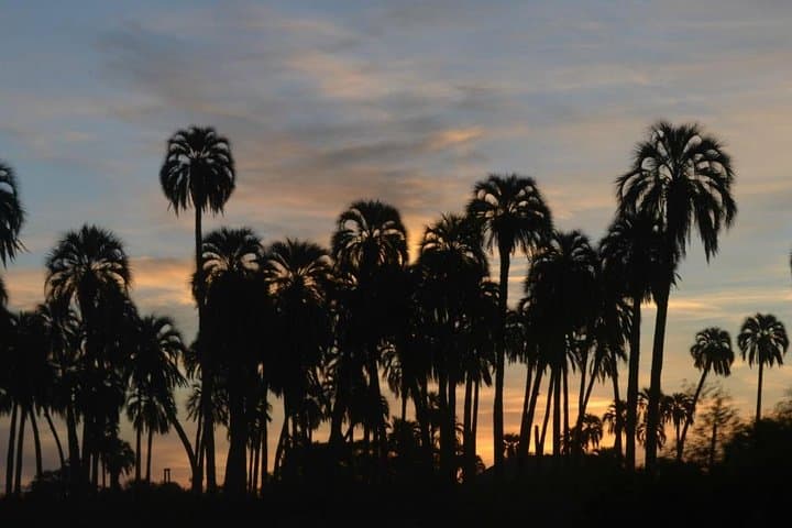 El Palmar National Park: Yatay Palm Savanna Wildlife & Trails Admission photo 5