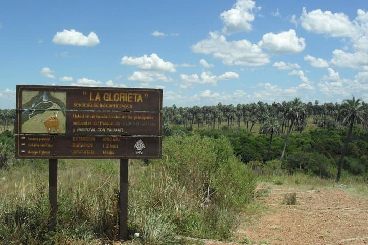El Palmar National Park: Yatay Palm Savanna Wildlife & Trails Admission photo 3