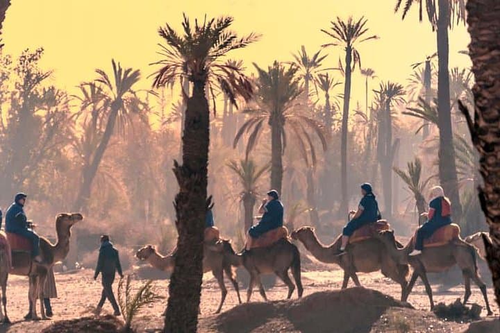 Marrakech Day Trip from Casablanca: Medina Walk, Koutoubia & Camel Ride photo 2