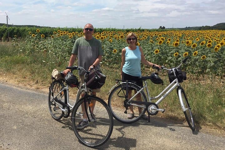 Cycle the Vineyards of Chinon: Full-Day Bike & Wine Tours in the Loire Valley photo 4