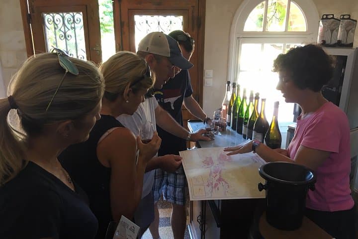 Cycle the Vineyards of Chinon: Full-Day Bike & Wine Tours in the Loire Valley photo 2