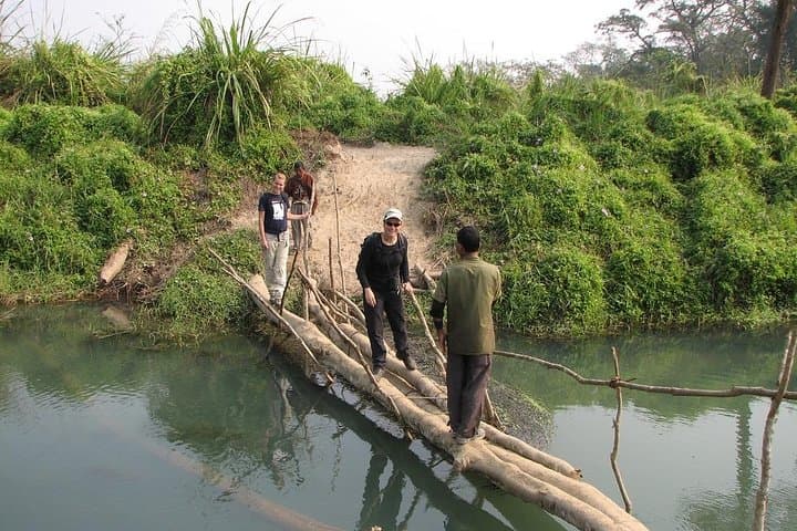 Chitwan Jungle Adventure: Multi-Day Canoe Safari, Tharu Village Stay & Tiger Tracking photo 4