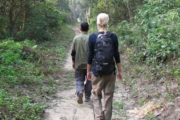 Chitwan Jungle Adventure: Multi-Day Canoe Safari, Tharu Village Stay & Tiger Tracking photo 5