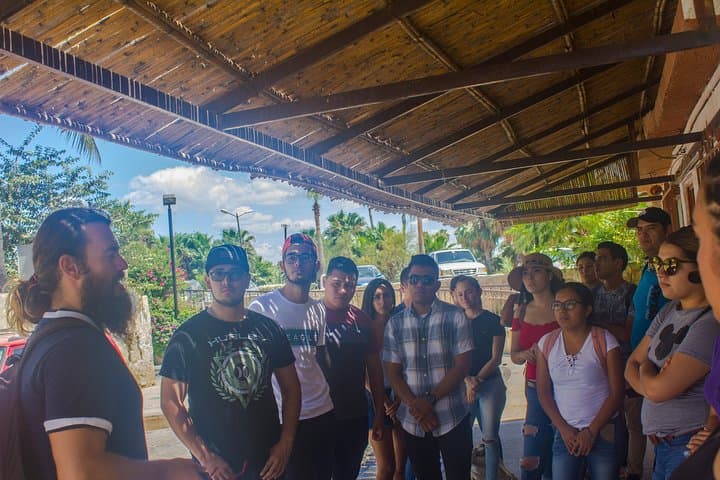 Historic San José del Cabo Walking Tour: Mission, Art District & Estuary photo 6