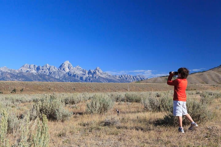 Private Grand Teton Wildlife Safari: Full-Day Guided Tour from Jackson Hole photo 3