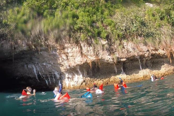Snorkeling Los Arcos Puerto Vallarta: Small-Group Marine Biologist Tour photo 4