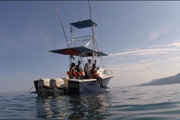 Snorkeling Los Arcos Puerto Vallarta: Small-Group Marine Biologist Tour photo 6