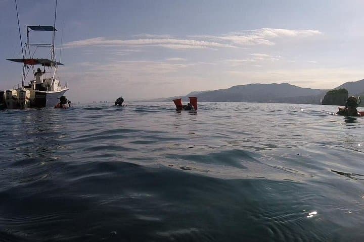 Private Los Arcos Snorkeling with a Marine Biologist in Puerto Vallarta photo 3