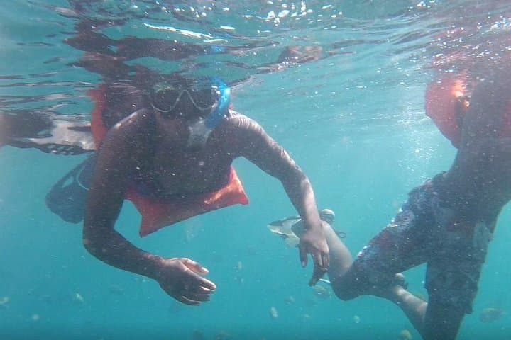 Private Los Arcos Snorkeling with a Marine Biologist in Puerto Vallarta photo 4