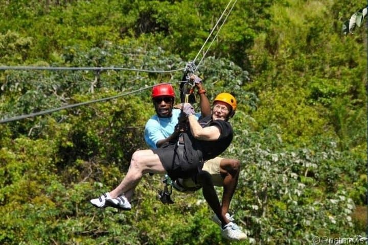 Roatan Zip n Dip Canopy Tour — Jungle Ziplines and Caribbean Swims photo 3