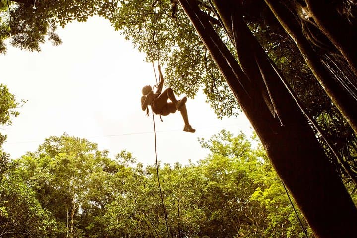 Private Day Trip to Cenote Xcanche and Colonial Valladolid from Mérida photo 3
