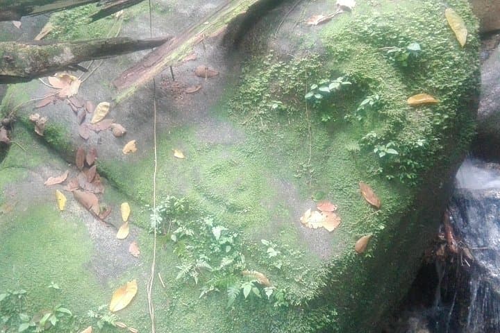 Lost Jewel Day Trek Sierra Nevada de Santa Marta Tayrona Relics photo 1