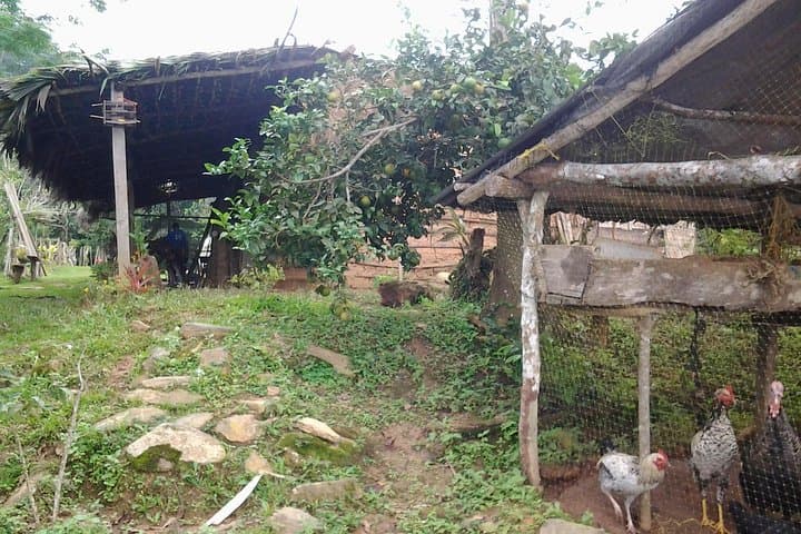 Lost Jewel Day Trek Sierra Nevada de Santa Marta Tayrona Relics photo 4