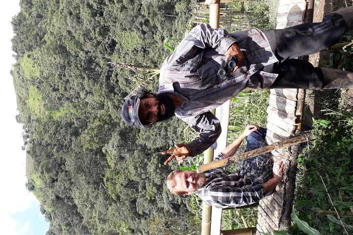 Howler Monkeys and Bird-Watching Hike in Salento's Gallery Forest photo 5
