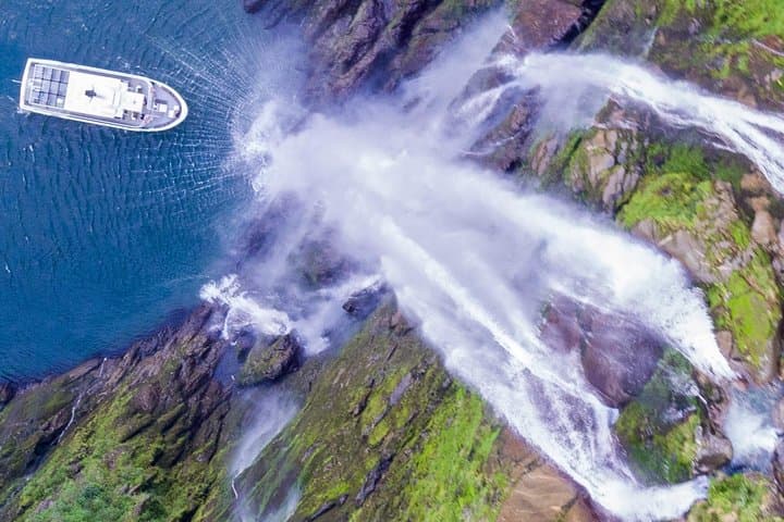 Milford Sound Boutique Cruise: Small-Boat Wildlife and Waterfall Experience photo 5