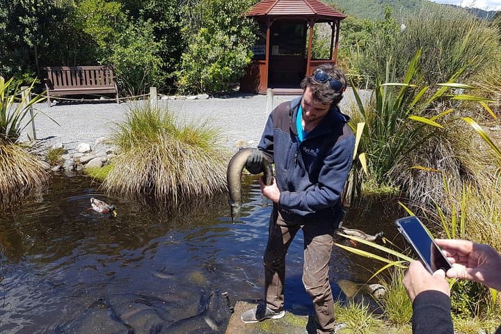Explore Kapiti Coast: Private Full-Day Custom Tour from Wellington