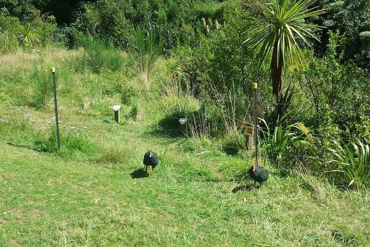 Explore Kapiti Coast: Private Full-Day Custom Tour from Wellington photo 5