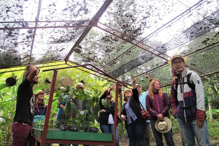 Coffee Plantation Tour from Bogotá — Fusagasugá Hacienda Experience photo 2