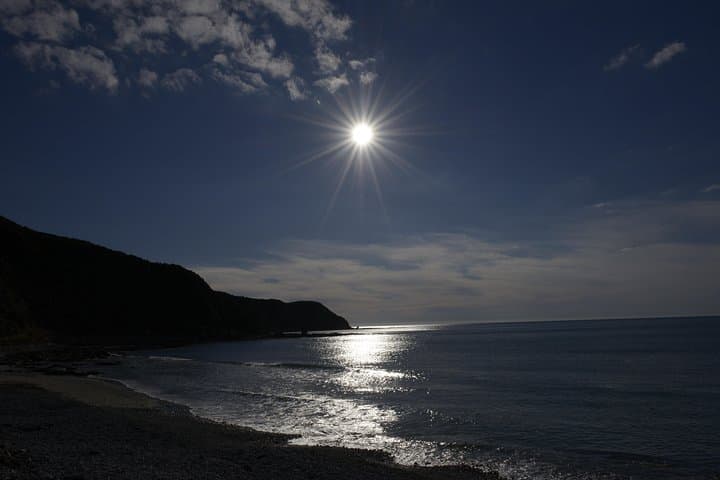 Explore Kapiti Coast: Private Full-Day Custom Tour from Wellington photo 6