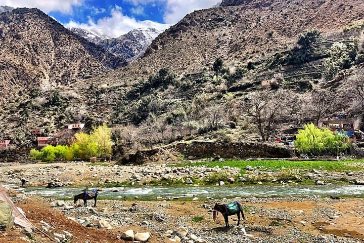 Casablanca to Marrakech: 2-Day Atlas Mountains & Imlil Mule Ride photo 3