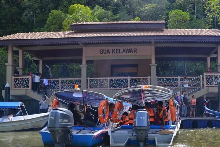 Langkawi Kilim Mangrove & Bat Cave Boat Tour — Eagles, Rays and Limestone Forests photo 6