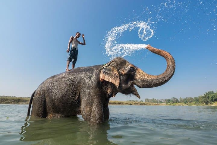 Chitwan Jungle Adventure: Multi-Day Canoe Safari, Tharu Village Stay & Tiger Tracking photo 6