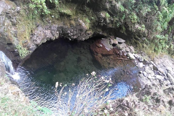 Queimadas to Caldeirão Verde Levada Hike — Madeira's Emerald Waterfall photo 6