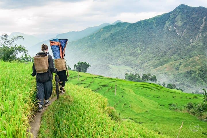2-Day Sapa Trekking in Muong Hoa Valley: Lao Chai, Ta Van & Cat Cat Villages photo 4