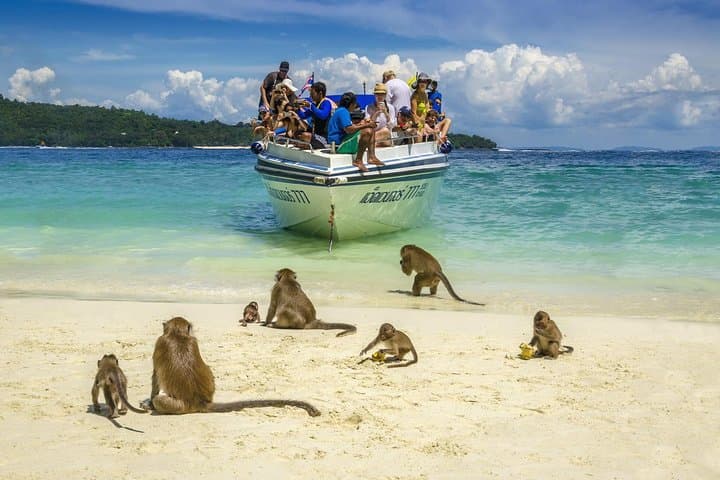 Maya Bay at Dawn: Early-Bird Phi Phi Island Speedboat Trip from Phuket photo 3