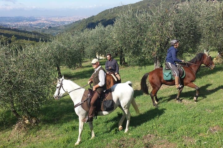 Chianti Horseback Ride and Olive Oil Tasting from Florence