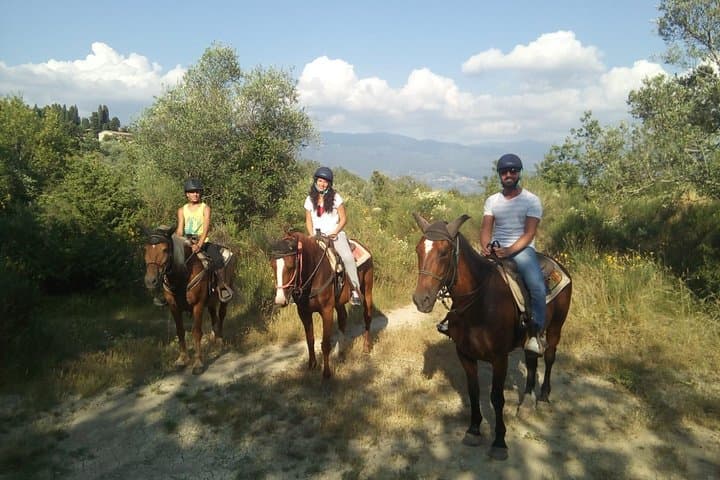 Chianti Horseback Ride and Olive Oil Tasting from Florence photo 4